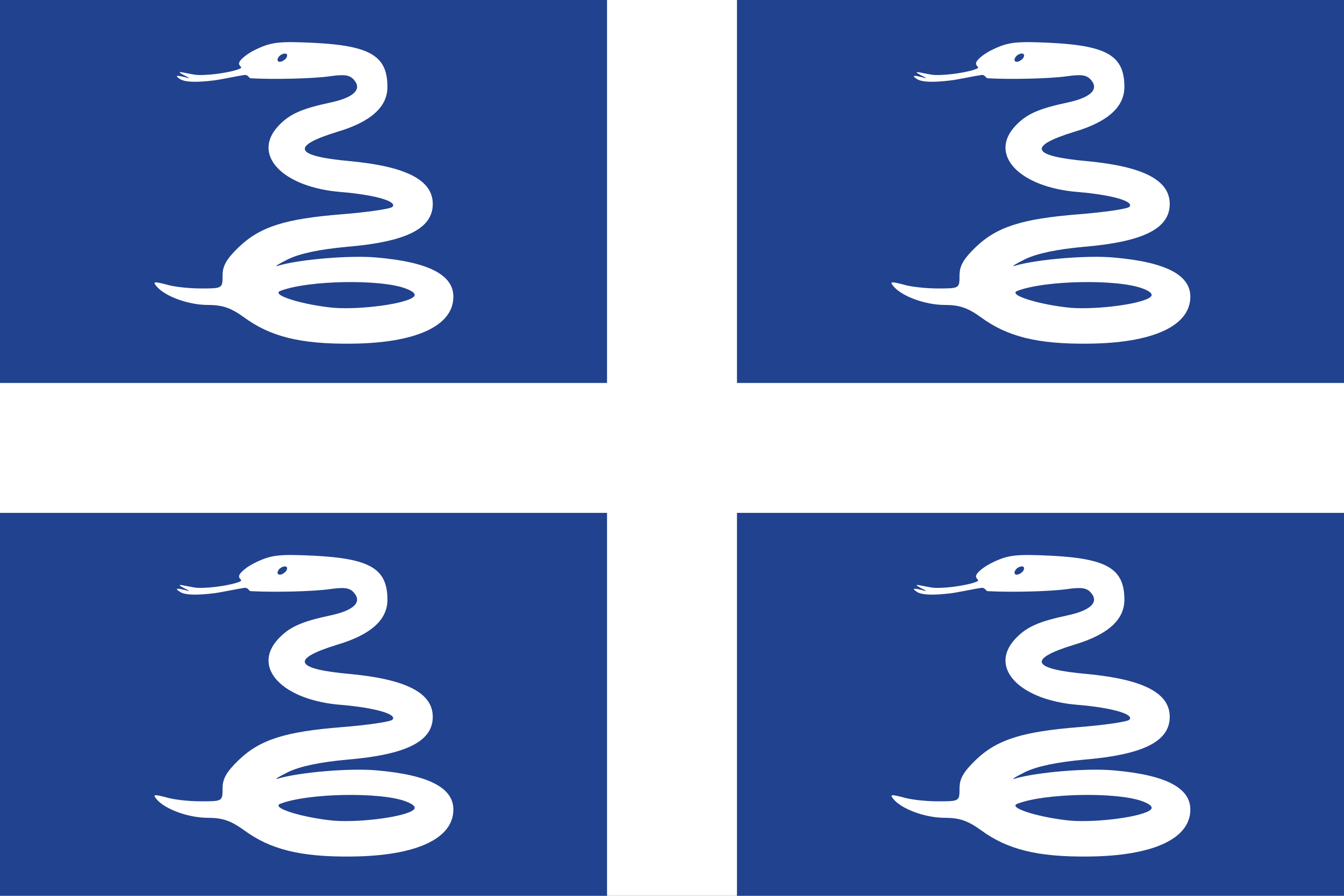 Nationality flag